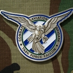 Combat Aviation Brigade, 3rd Infantry Division, Falcons