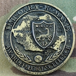 Timişoara-Romania, 32nd Infantry Battalion "Mircea"