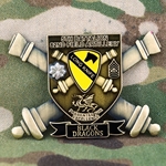 2nd Battalion, 82nd Field Artillery Regiment, "Steel Dragons", Type 1