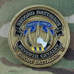 2nd Battalion, 7th Cavalry Regiment, Type 1