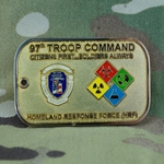 97th Troop Command, Type 1