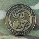 Multinational Force and Observers, Type 1