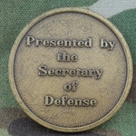 Secretary of Defense, Interim, Type 3