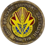100th Brigade Support Battalion, Type 1