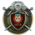 Division Special Troops Battalion, 10th Mountain Division, Type 1