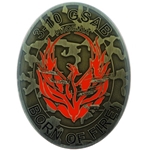 3rd General Support Aviation Battalion, 10th Aviation Regiment (Phoenix), Type 2