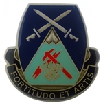 3rd Brigade Special Troops Battalion, 10th Mountain Division, Type 1