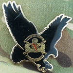 188th Brigade Support Battalion, Type 1