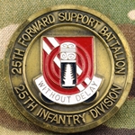 25th Forward Support Battalion, "Without Delay", Type 2