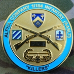 Alpha Company, 1st Battalion, 184th Infantry Regiment, Type 1