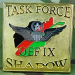 Task Force Shadow, 6th Battalion, 101st Aviation Regiment "Shadow of the Eagle", Type 1