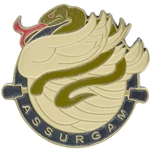 ReEnlist, 626th Brigade Support Battalion "Assurgam"