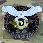 Task Force Shadow, 6th Battalion, 101st Aviation Regiment "Shadow of the Eagle", Type 2