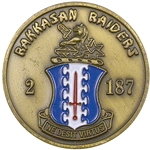 2nd Battalion, 187th Infantry Regiment, Rakkasan Raiders, Type 2