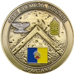 48th Chemical Brigade, Fort Hood, Texas, Type 1