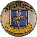 1st Battalion, 502nd Infantry Regiment "First Strike" (♥), Type 3