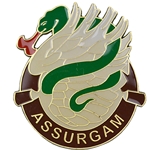 626th Brigade Support Battalion "Assurgam", Type 5