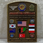 82nd Airborne Division, Base Commander / DCSM, Type 1