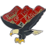 4th Battalion, 101st Aviation Regiment "Wings of the Eagle" (▲), LTC/CSM