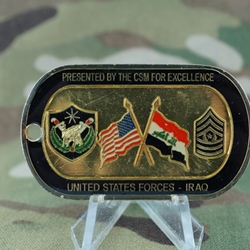 U.S. Forces-Iraq, Type 1