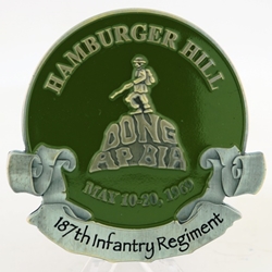 187th Infantry Regiment, Hamburger Hill, Type 2