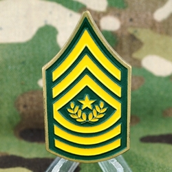 Georgia Army National Guard, CSM, Type 1