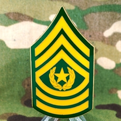 1st Battalion (Attack), 25th Aviation Regiment, CSM, Type 1