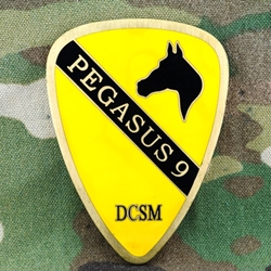 Division Command Sergeant Major (DCSM), 1st Cavalry Division, Type 1