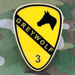 3rd Brigade Combat Team, Greywolf, 1st Cavalry Division, Type 1
