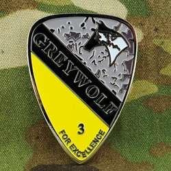 3rd Brigade Combat Team, Greywolf, 1st Cavalry Division, Type 2