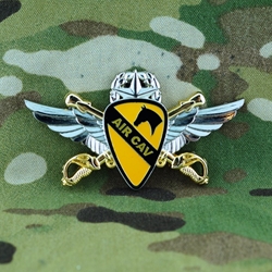 1st Air Cavalry Brigade, 1st Cavalry Division, Type 2