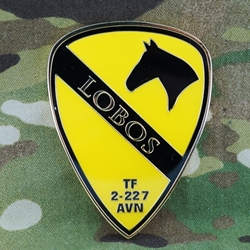 2nd Battalion, 227th Aviation Regiment, "Lobos", Type 1