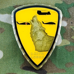 2nd Battalion, 227th Aviation Regiment, "Lobos", Type 2