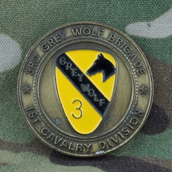 3rd Brigade Combat Team, Greywolf, 1st Cavalry Division, Type 3