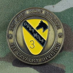 3rd Brigade Combat Team, Greywolf, 1st Cavalry Division, Type 4