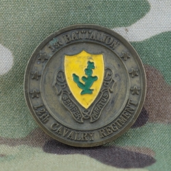 1st Battalion, 12th Cavalry Regiment, Type 1