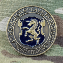 4th Squadron, 6th Cavalry Regiment, Type 1