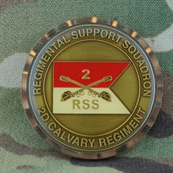 2nd Cavalry Regiment, Regimental Support Squadron , Type 1