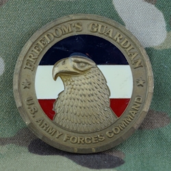U.S. Army Forces Command (FORSCOM), CSM, Type 2