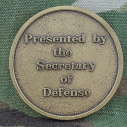 Secretary of Defense, Interim, Type 1