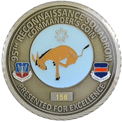 95th Reconnaissance Squadron, Type 1