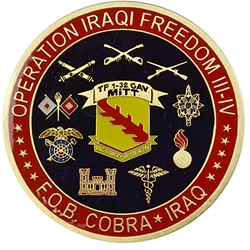TF 1st Squadron, 32nd Cavalry Regiment, MITT, Type 1