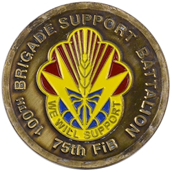 100th Brigade Support Battalion, Type 1