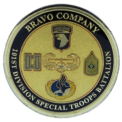 Bravo Company, 101st Division Special Troops Battalion "Black Dragons", Type 1