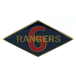 6th Ranger Training Battalion, Type 1