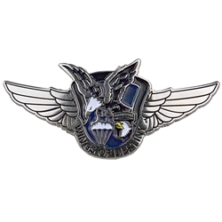 HHC, 101st Combat Aviation Brigade "Wings of Destiny", Type 1