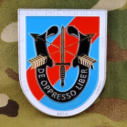 20th Special Forces Group (Airborne), Type 2
