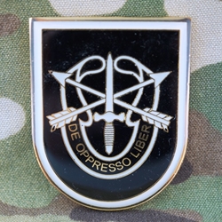 1st Battalion, 5th Special Forces Group (Airborne), Type 4