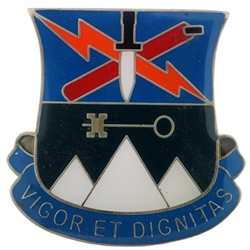 2nd Brigade Special Troops Battalion, 10th Mountain Division, Type 2