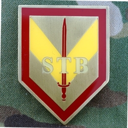 Special Troops Battalion, 1st Infantry Division, Type 1
